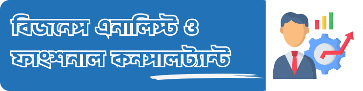 Business Analyst and Functional Consultant